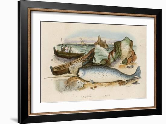 Narwhal-Du Casse-Framed Art Print