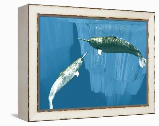 Narwhals-Christian Darkin-Framed Premier Image Canvas