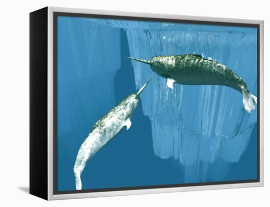 Narwhals-Christian Darkin-Framed Premier Image Canvas