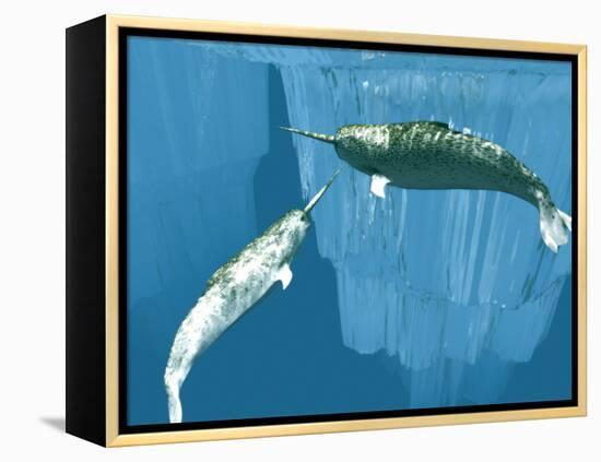 Narwhals-Christian Darkin-Framed Premier Image Canvas