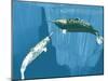 Narwhals-Christian Darkin-Mounted Photographic Print