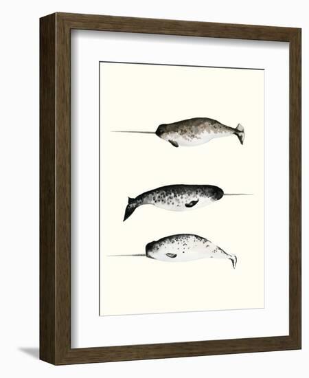 Narwhals-Natasha Marie-Framed Giclee Print