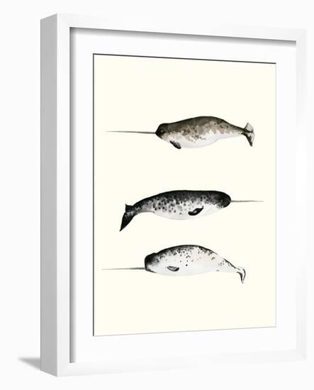 Narwhals-Natasha Marie-Framed Giclee Print