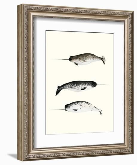 Narwhals-Natasha Marie-Framed Premium Giclee Print