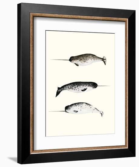 Narwhals-Natasha Marie-Framed Premium Giclee Print