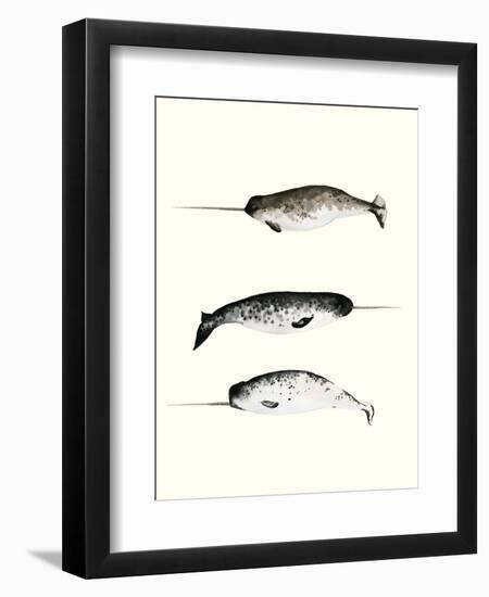 Narwhals-Natasha Marie-Framed Premium Giclee Print