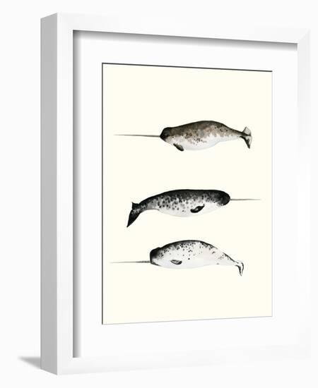 Narwhals-Natasha Marie-Framed Premium Giclee Print