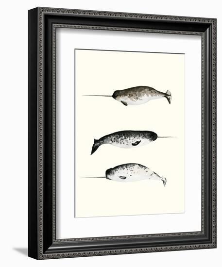 Narwhals-Natasha Marie-Framed Premium Giclee Print