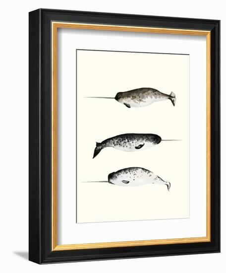 Narwhals-Natasha Marie-Framed Premium Giclee Print