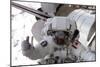 NASA Astronaut Spacewalk Space Photo Poster Print-null-Mounted Art Print