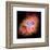 NASA - Crab Nebula - Dead Star-null-Framed Premium Giclee Print