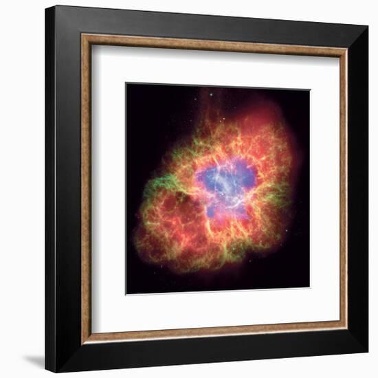 NASA - Crab Nebula - Dead Star-null-Framed Premium Giclee Print