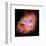 NASA - Crab Nebula - Dead Star-null-Framed Premium Giclee Print