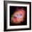 NASA - Crab Nebula - Dead Star-null-Framed Art Print