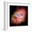 NASA - Crab Nebula - Dead Star-null-Framed Art Print