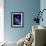 NASA Deep Space Tracking Station, Austral-David Nunuk-Framed Photographic Print displayed on a wall