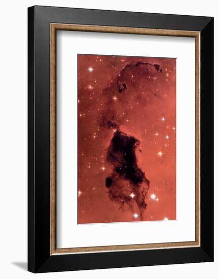 NASA - Dust Clouds in the Milky Way-null-Framed Premium Giclee Print