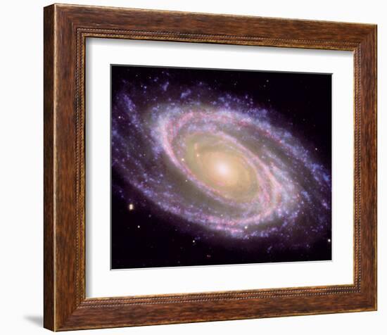 NASA - M81 Galaxy-null-Framed Art Print