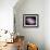 NASA - M81 Galaxy-null-Framed Art Print displayed on a wall