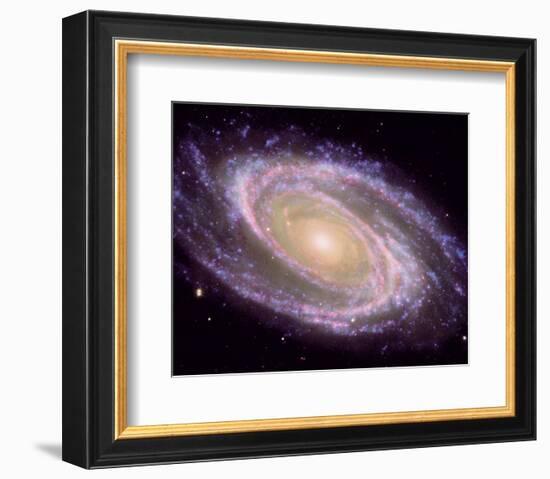 NASA - M81 Galaxy-null-Framed Art Print