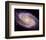 NASA - M81 Galaxy-null-Framed Art Print