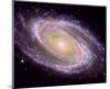 NASA - M81 Galaxy-null-Mounted Art Print