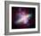 NASA - M82 Rainbow Galaxy-null-Framed Art Print