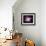 NASA - M82 Rainbow Galaxy-null-Framed Art Print displayed on a wall