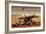 NASA Mars Exploration Rover Sprit Opportunity Photo-null-Framed Art Print