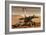 NASA Mars Exploration Rover Sprit Opportunity Photo-null-Framed Art Print