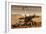 NASA Mars Exploration Rover Sprit Opportunity Photo-null-Framed Premium Giclee Print