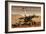 NASA Mars Exploration Rover Sprit Opportunity Photo-null-Framed Premium Giclee Print