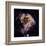 NASA - N 49 Celestial Fireworks-null-Framed Premium Giclee Print