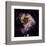 NASA - N 49 Celestial Fireworks-null-Framed Art Print