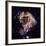 NASA - N 49 Celestial Fireworks-null-Framed Art Print