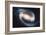 NASA - NGC 1300 Barred Spiral Galaxy-null-Framed Art Print