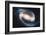 NASA - NGC 1300 Barred Spiral Galaxy-null-Framed Art Print