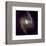 NASA - NGC 1365-null-Framed Premium Giclee Print