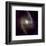 NASA - NGC 1365-null-Framed Premium Giclee Print