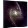 NASA - NGC 1365-null-Mounted Art Print