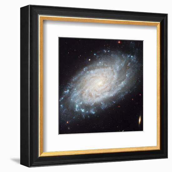 NASA - NGC 3370 Spiral Galaxy-null-Framed Premium Giclee Print