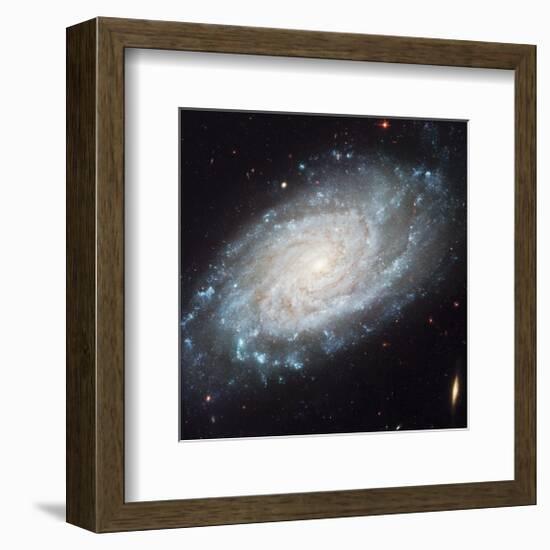 NASA - NGC 3370 Spiral Galaxy-null-Framed Premium Giclee Print