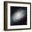 NASA - NGC 3370 Spiral Galaxy-null-Framed Premium Giclee Print