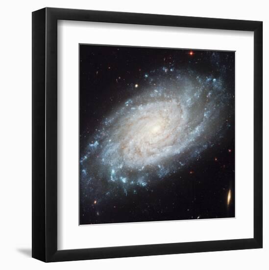 NASA - NGC 3370 Spiral Galaxy-null-Framed Art Print