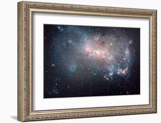 NASA - NGC 4449 Stellar Fireworks-null-Framed Art Print