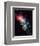 NASA - NGC1333 Chaotic Star Birth-null-Framed Art Print