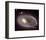 NASA - Ring Nucleus of Galaxy AM 0644-741-null-Framed Art Print