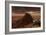 Nasa's Curiosity Rover Climbing to the Summit of Mount Sharp-null-Framed Premium Giclee Print