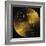 NASA's Voyager 1 and 2 Spacecraft Were Launched in the 1977 and Still Functioning, Now 14 and 11-null-Framed Photo