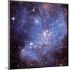 NASA - Small Magellanic Cloud-null-Mounted Art Print